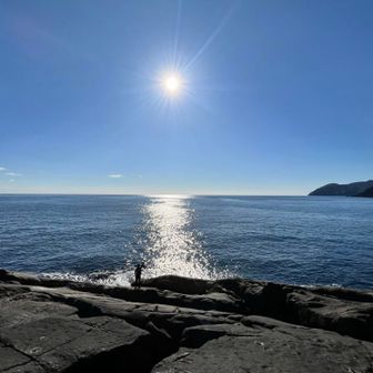 この沖は、一気に1,000m以上落ち込む日本海溝があり、黒潮もあたってマグロ、カジキ、イルカはもちろんジンベエザメも回遊していました🤩