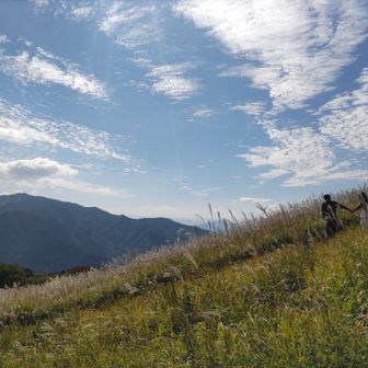 何度でも見てられる🌾
