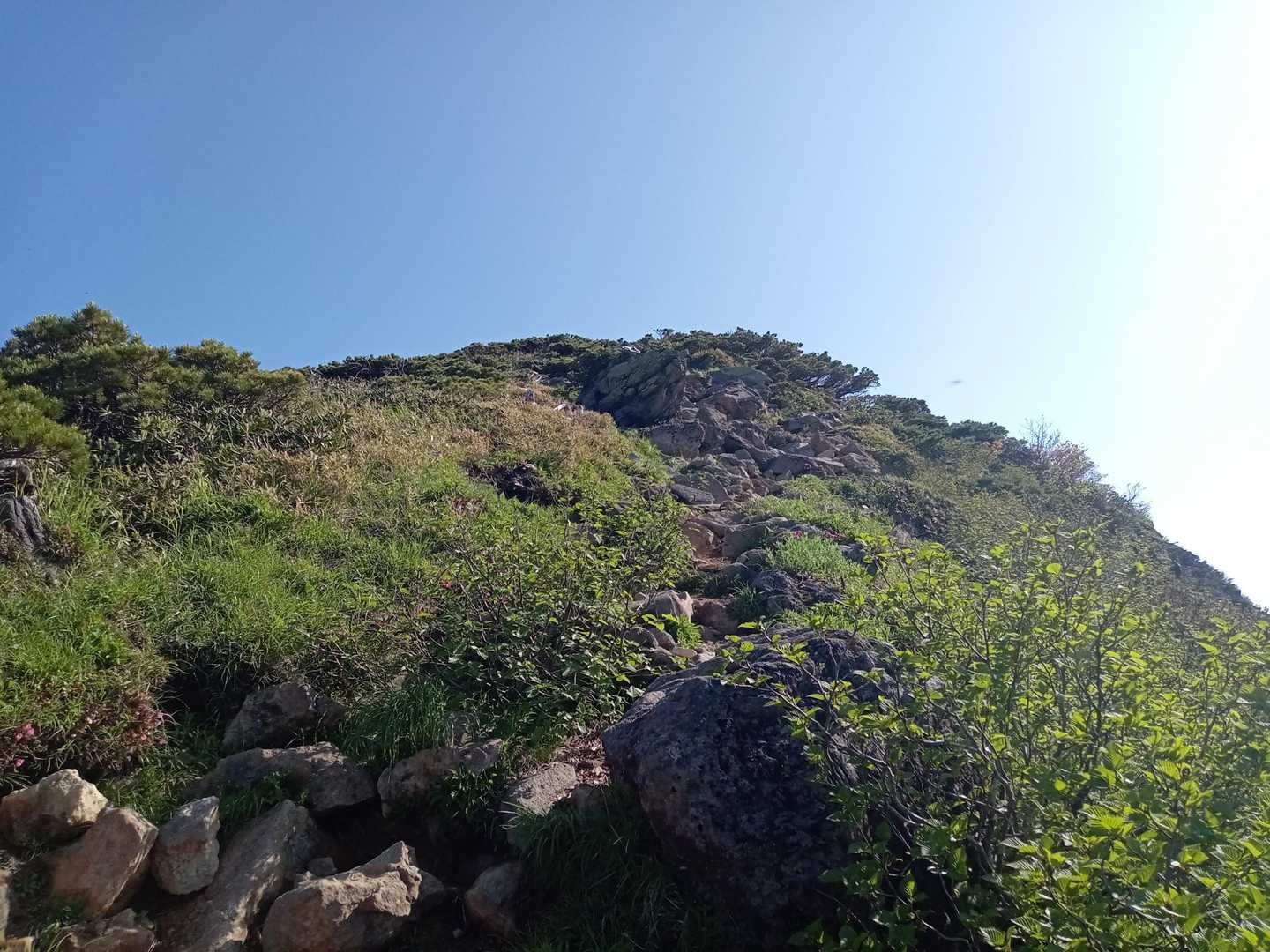 山頂です
森林限界からは一気に景色が開け
少し高度感も増します