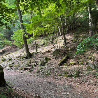 ここからが本格登山