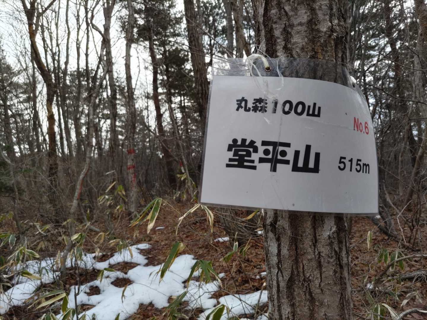 丸森に100以上の山があることにびっくりです。