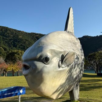 遅いお昼ご飯を食べるよ🍜
お腹ぺこぺこ😋