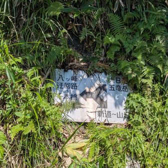 迂回路へ戻って来ました。
ここから新開道へ降りて行きます