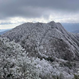 綱繰も霧氷で真っ白