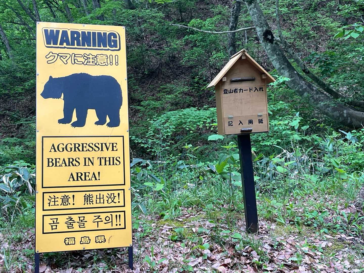 ここからが登山道だね🙂
山開きは熊の心配が少なくてよいね😙