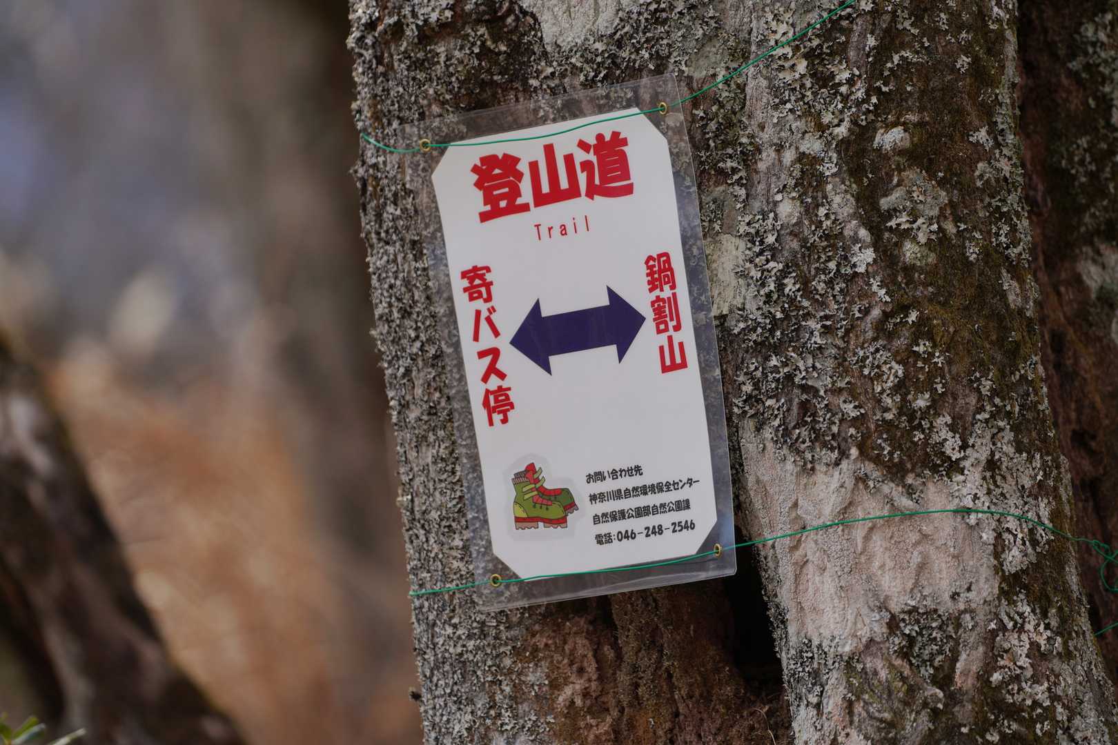 ここの登山道は神奈川県の管轄で自然環境保全センターの自然公園課が管理しています（丹沢の多くが該当）