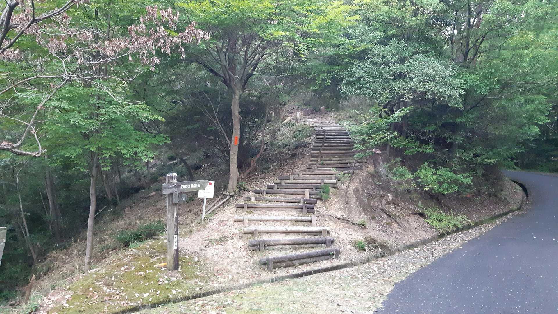 文珠山と言えば階段。。。