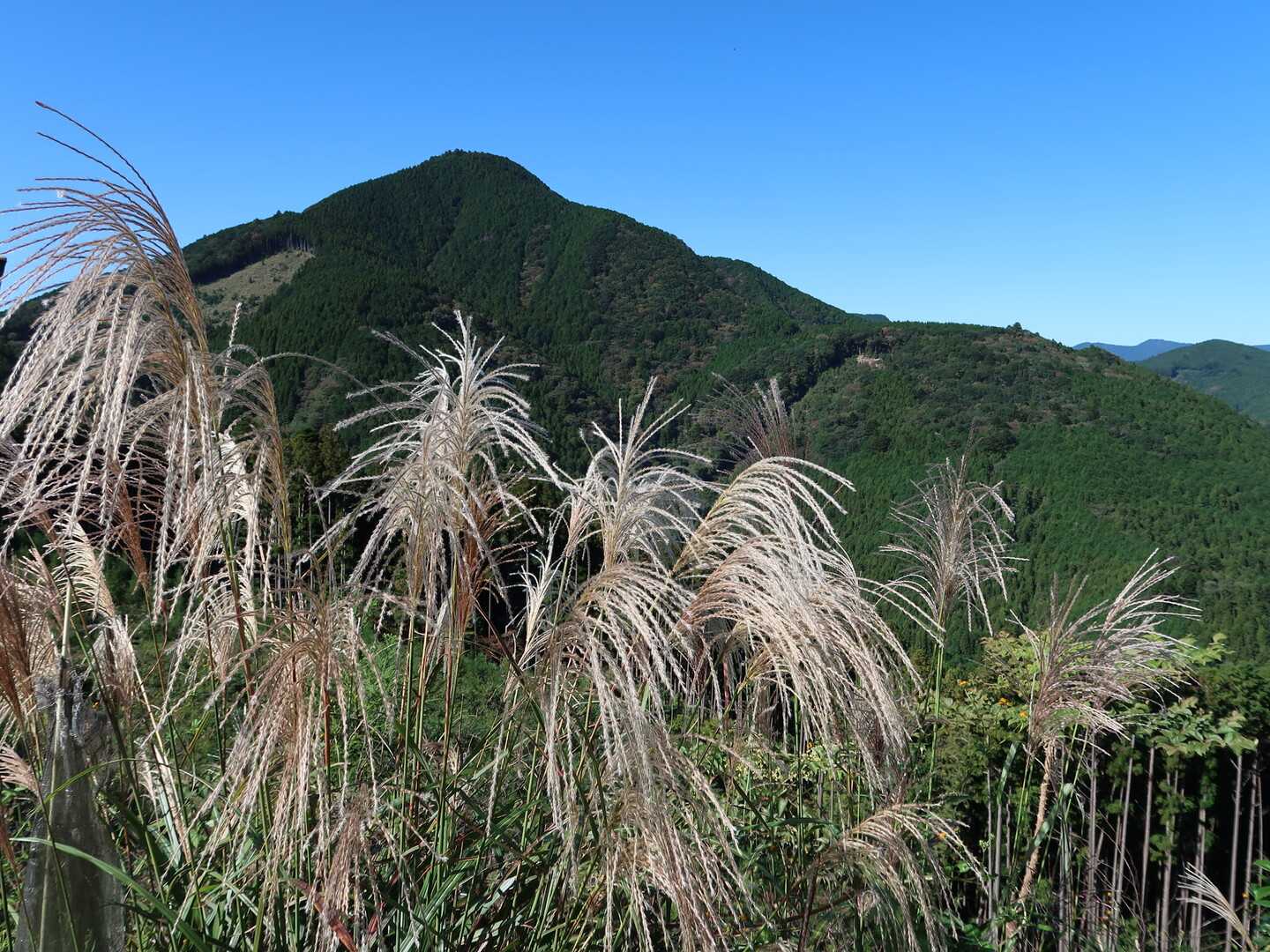 八高山の写真
