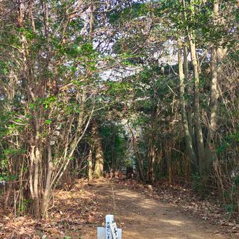 久々に千代山に到着！後ろに薄っすらと展望塔〜😅　軌跡は有りませ〜ん😭