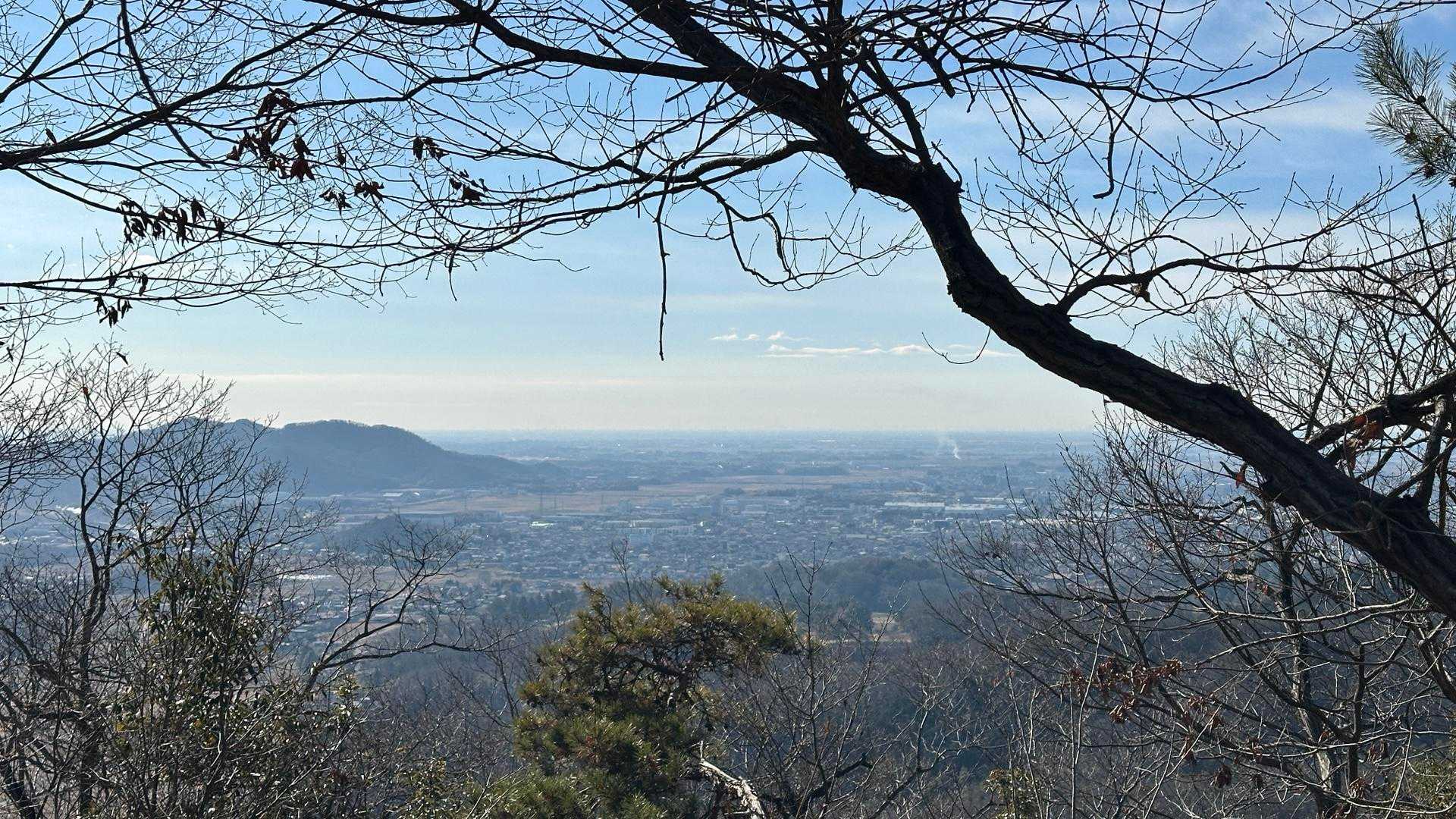 唐沢山登山口-唐沢山-権現堂 周回コースの写真