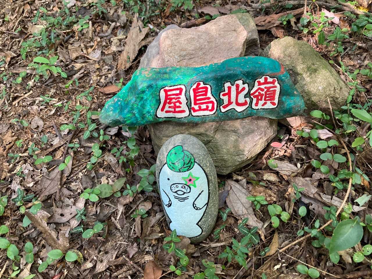 可愛い。お初です。
