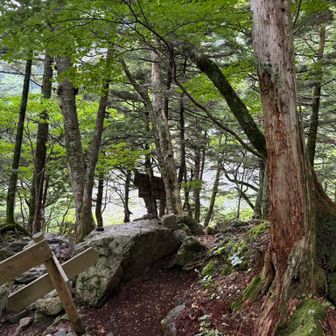 黙々と下りていたらまったく写真撮ってなかった