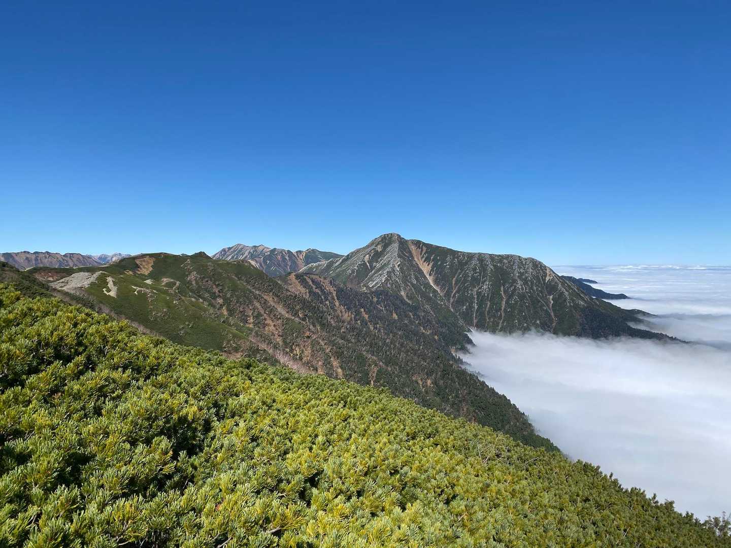 蝶ヶ岳 | 苔むした森を抜けてなだらかな稜線に立てば、槍・穂高連峰の大パノラマの写真