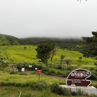 ともあれ下山しました。
ありがとうございました。

1000mから上が全く見えません。