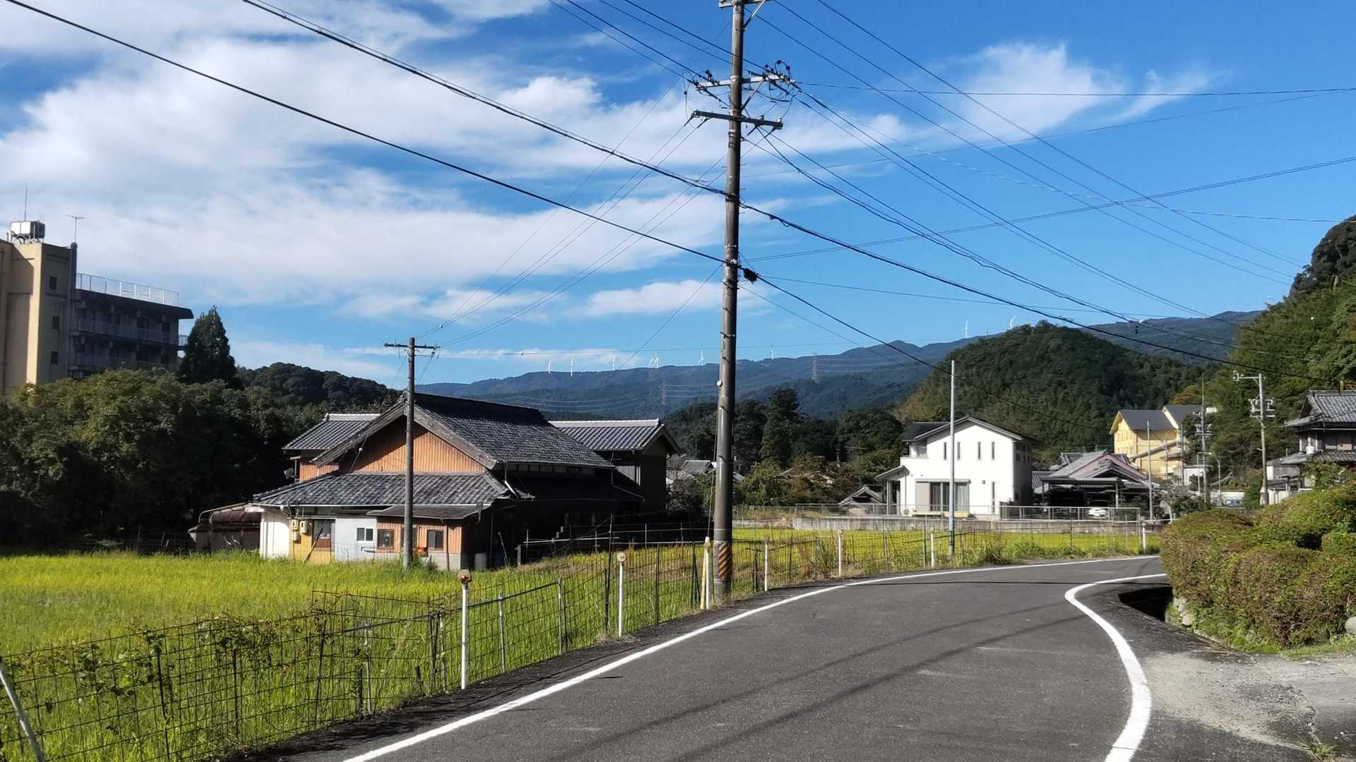 遠くに青山高原の風車が👀