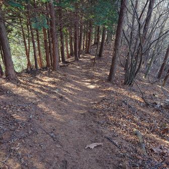 気持ち良く下って行きます。