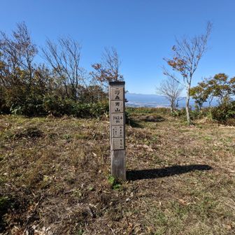 男山山頂着🔺