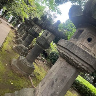東照宮と言えば、石灯篭。