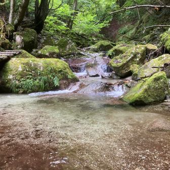 西沢で一番綺麗な場所
