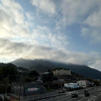 歩道橋から…🤳