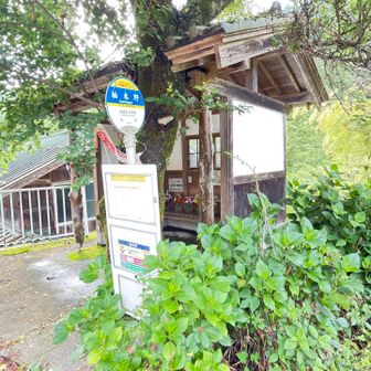 柏木野バス停スタート🚍
