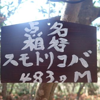 アイテム。絶景を