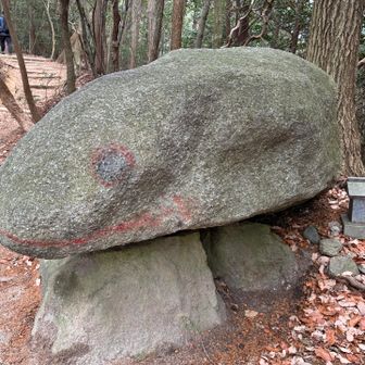 かえるちゃん笑ってる🐸