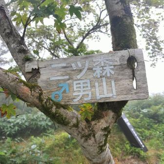 山頂表示が充実