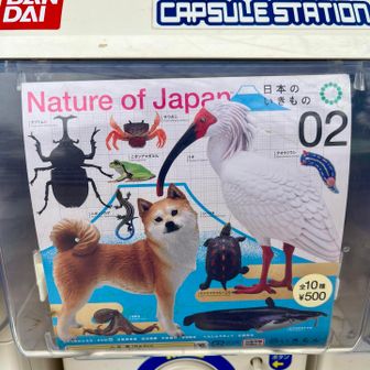 みんなが欲しいのは多分柴犬