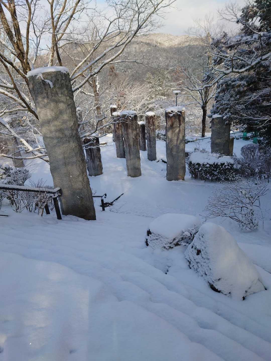 踏み跡の無いところも多くて嬉しい✨

積もりたてでフカフカ♪