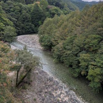 川の水💧が本当に素晴らしい！
アッパレ！
喝！の方がいいのか！？