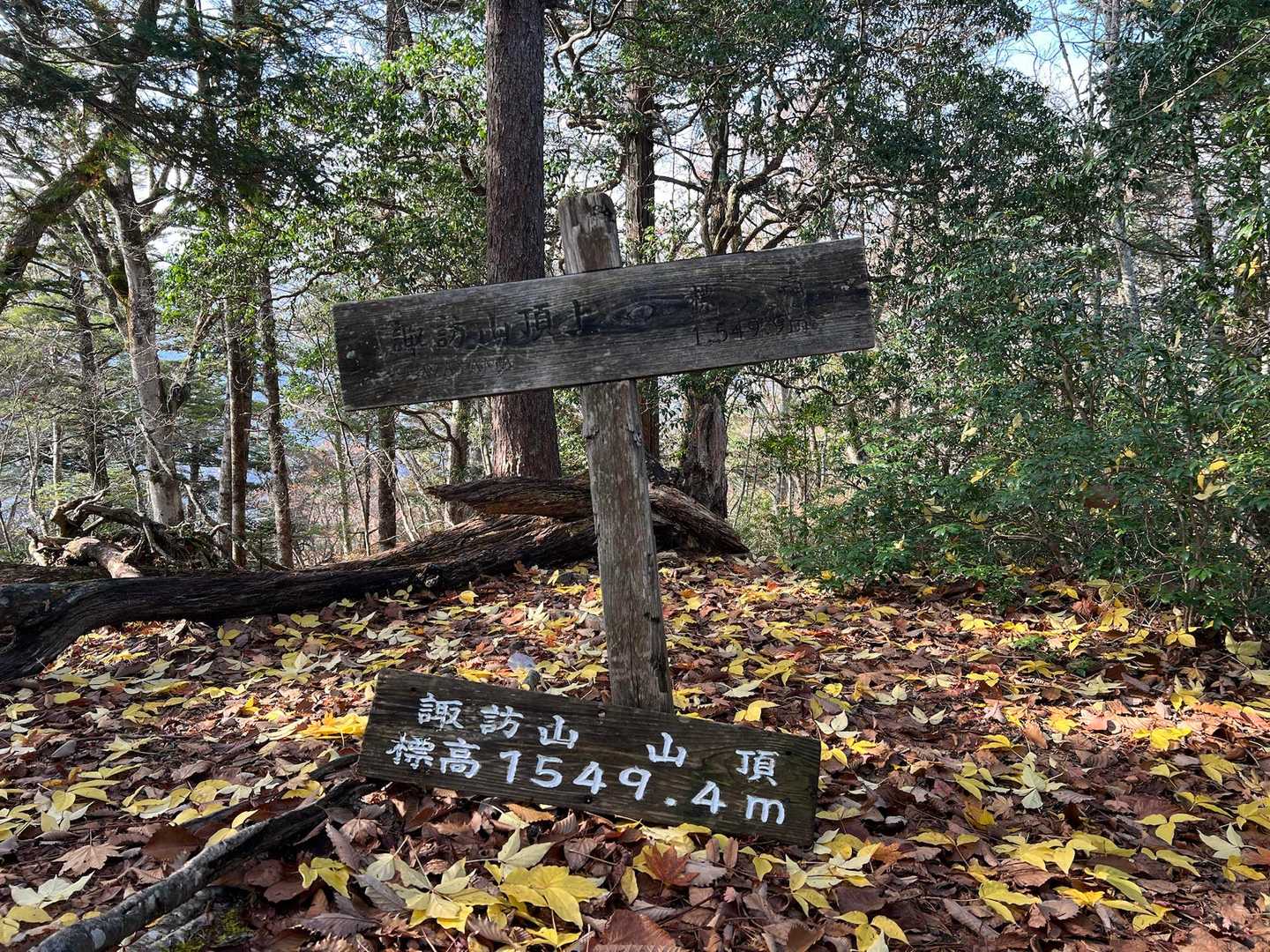 諏訪山の頂上碑

周辺は林の中