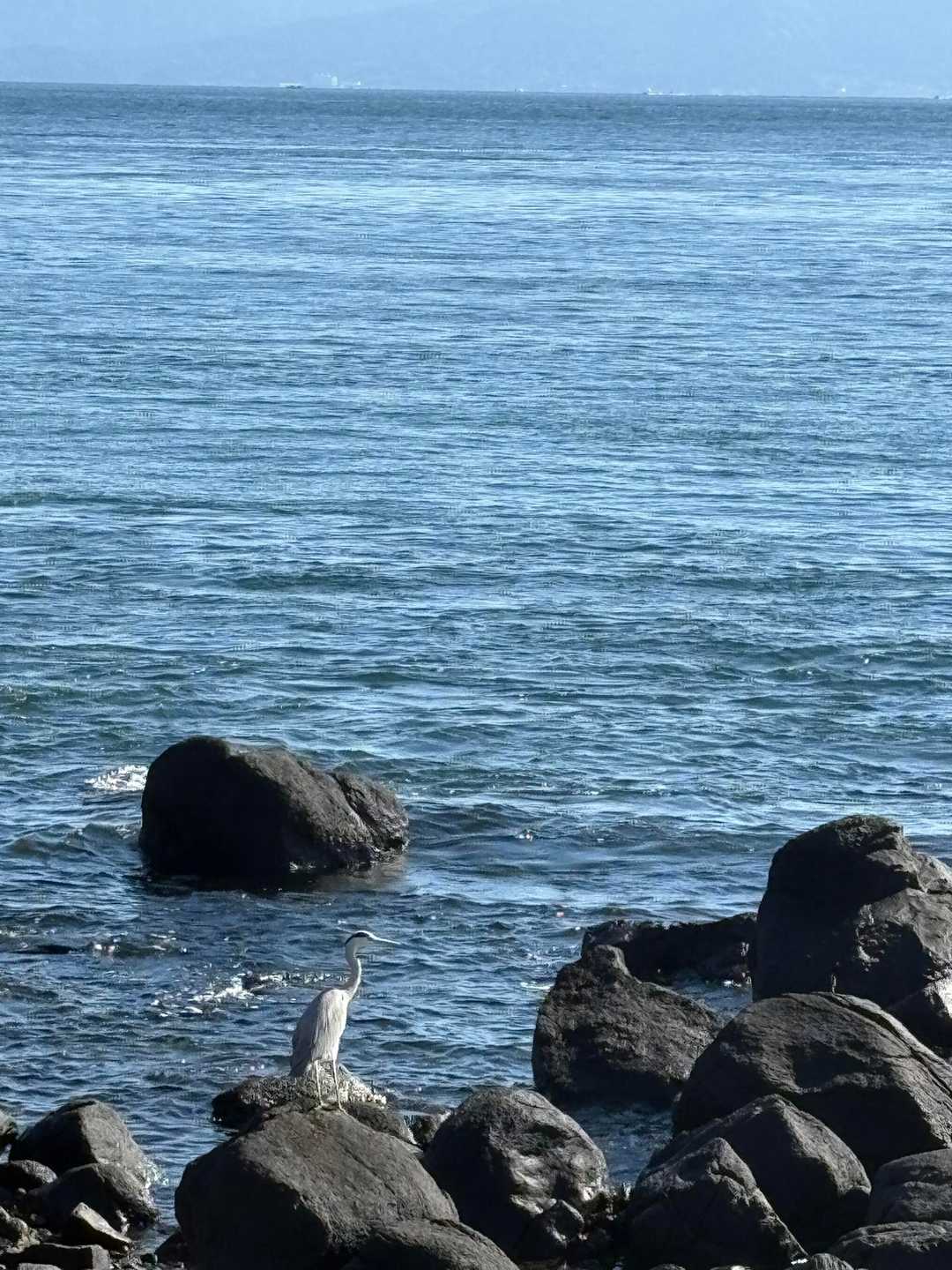 九州オルレ 南島原コースの写真
