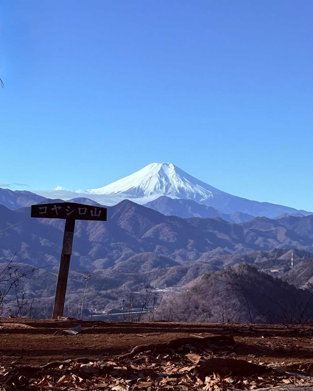 コヤシロ山山頂