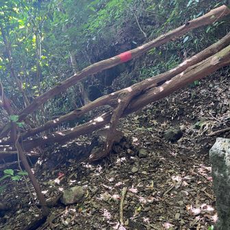 ここから右上に