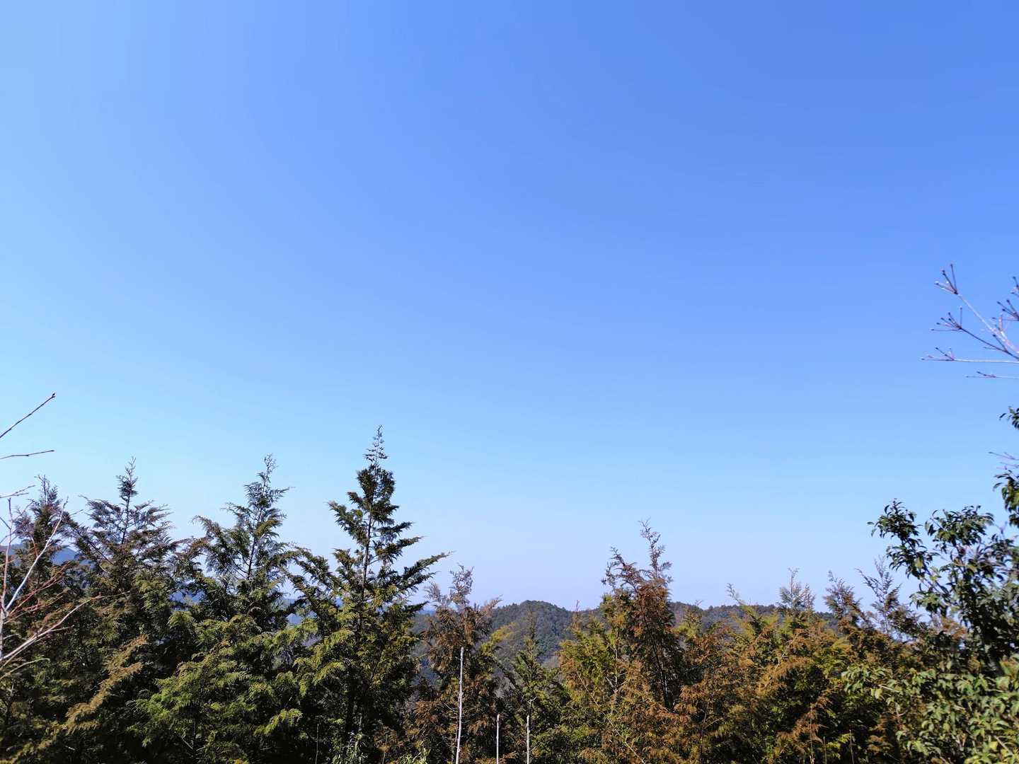 こちらの山から遠くに景色が
見え…あれ？見えない💦
数年前の情報だからかな😅
そりゃあ、木も育つよね（笑）