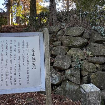 まずは裏手の当時の石垣へ。