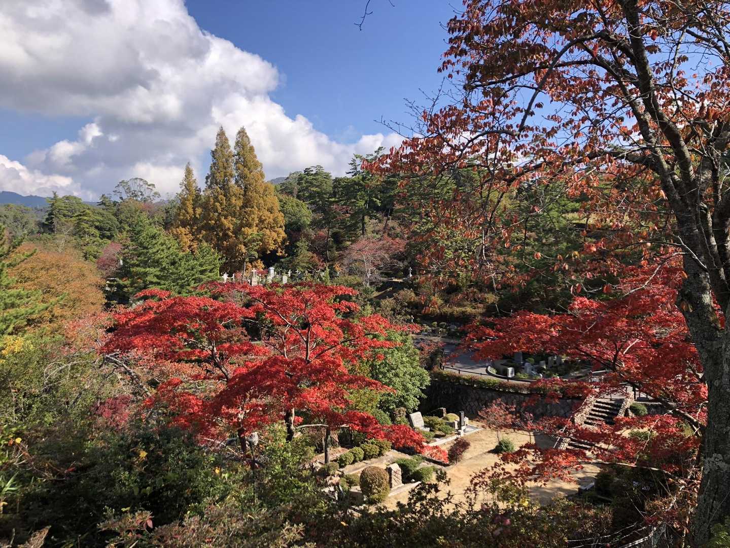 ここ、初めて来ました。良い眺めでした♫