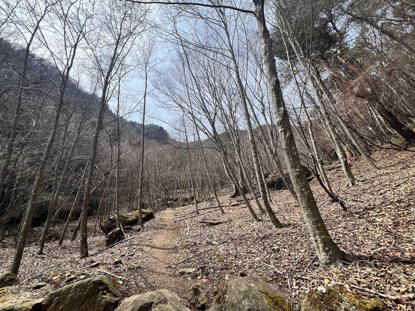 王岳（西湖いやしの里）の写真