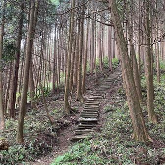 ここの階段は急で長いです