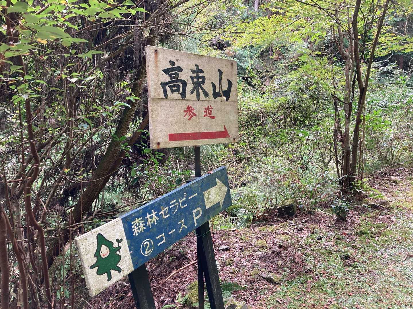 高束山参道、ここまでずっと舗装路
やっと登山道の始まり
