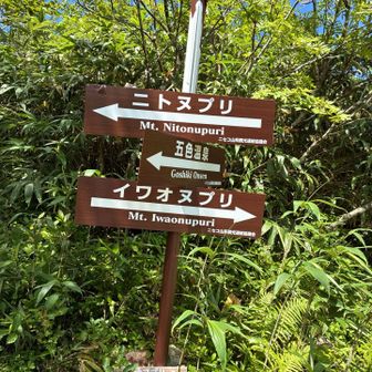 次回はニトヌプリへ🤙