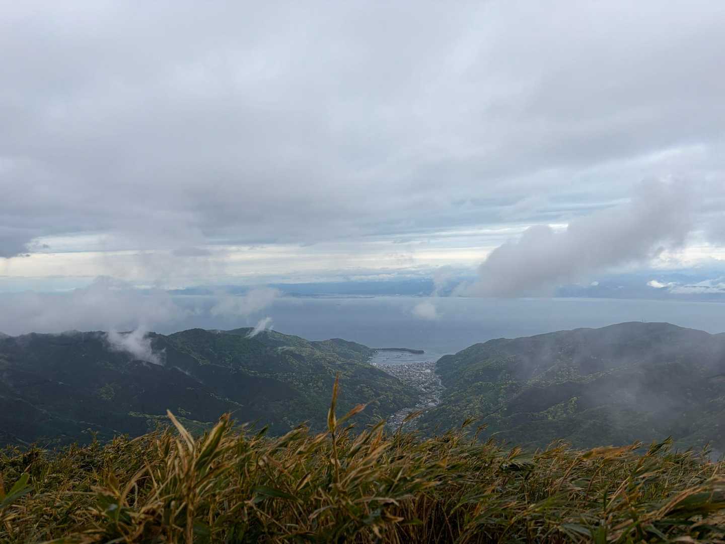 駿河湾