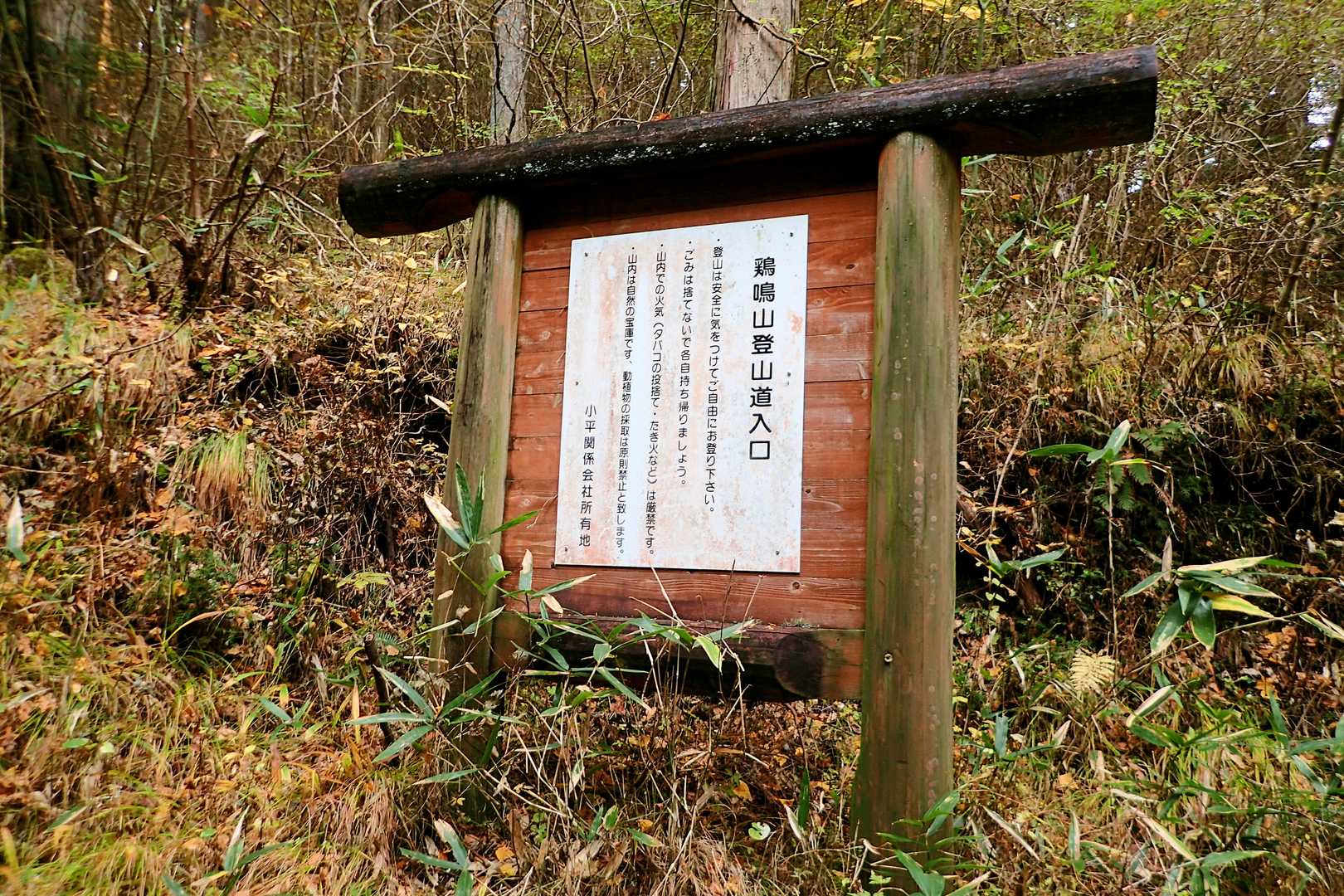 初めて…まともに読める看板を発見🪧