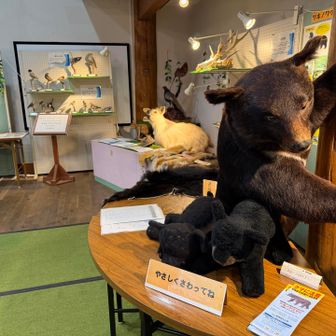 フツーに勉強になる展示物