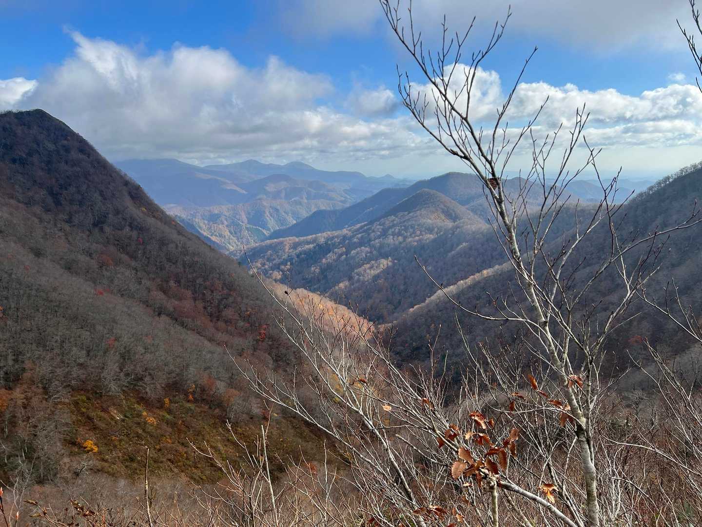 山頂付近は落葉が進んでいます🍂