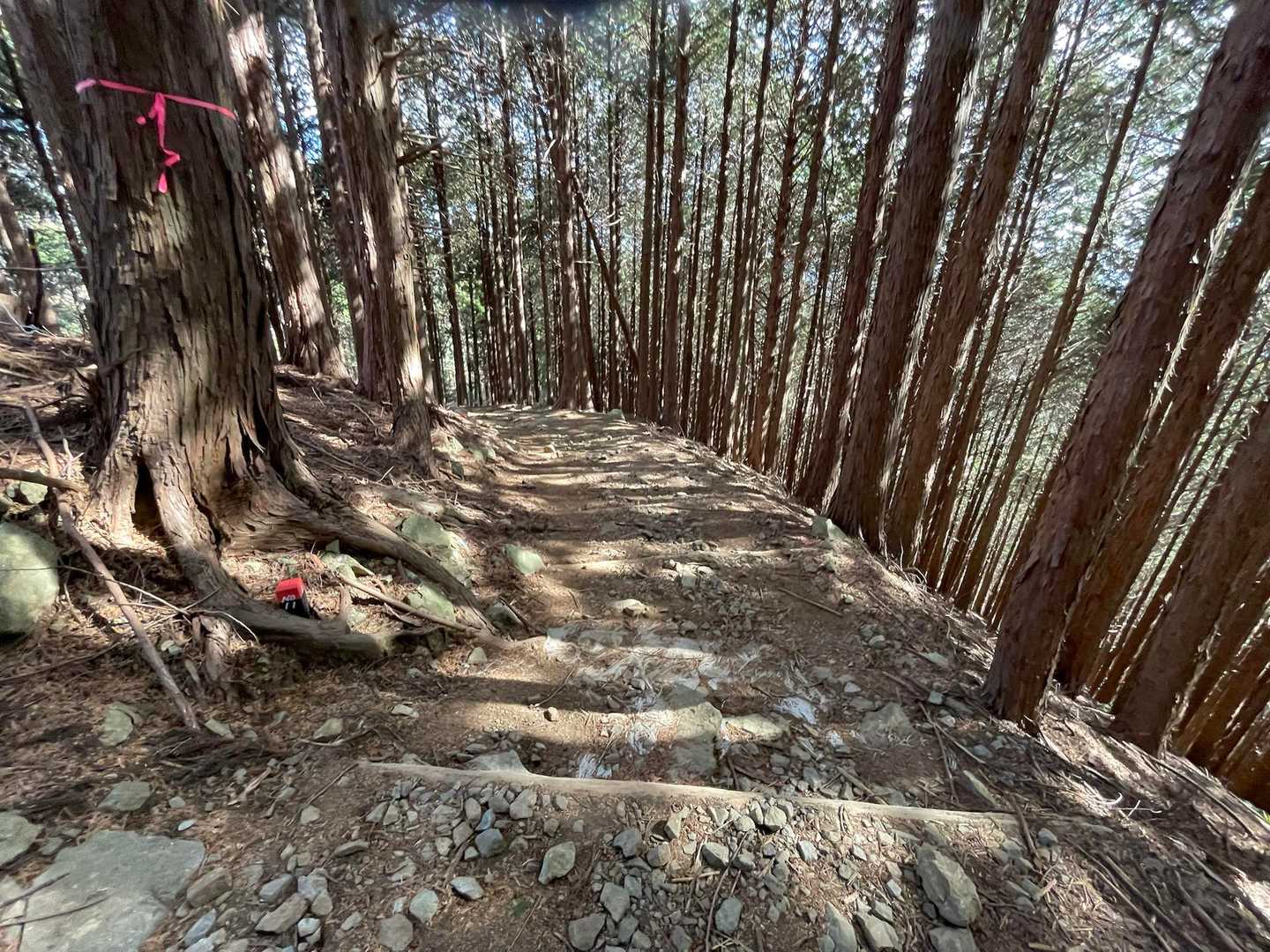 ザレ道ーー転びやすいよー