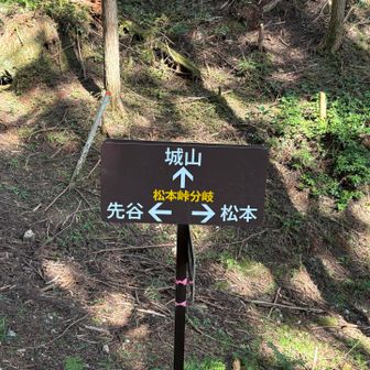 城山へ
