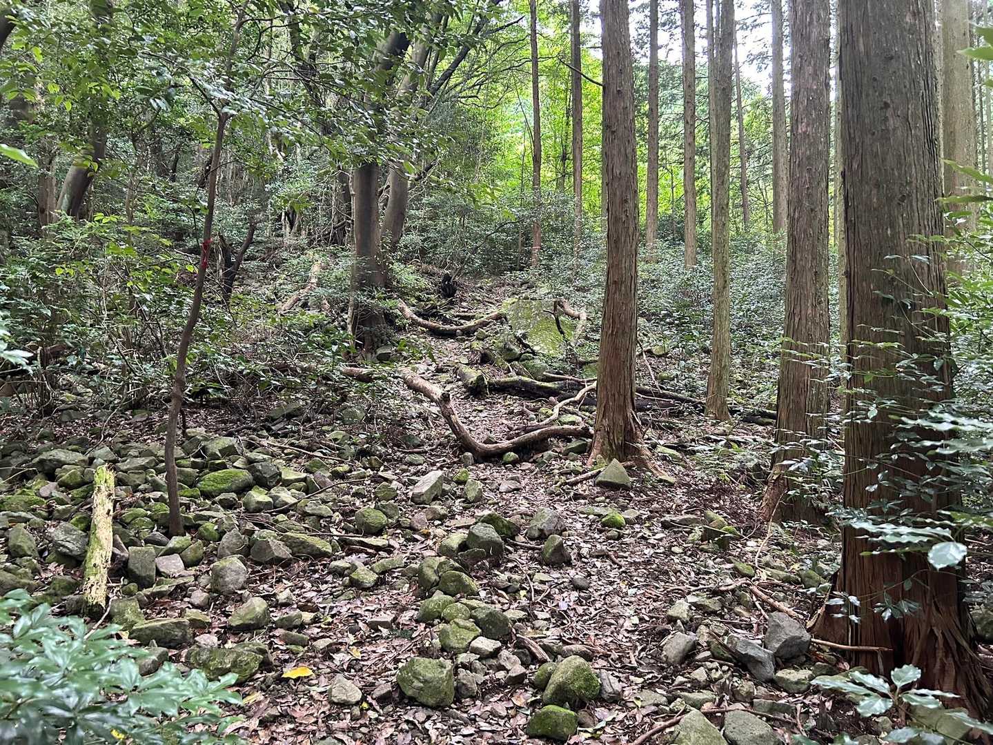 黒木登山口-経ヶ岳-舞岳-舞岳・経ヶ岳登山口 周回コースの写真