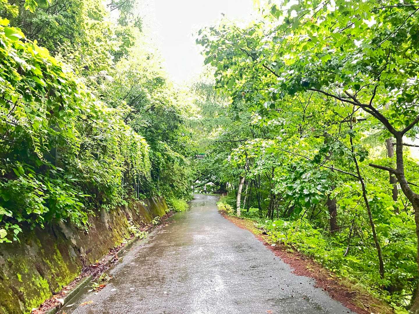 雨のなかスタートです